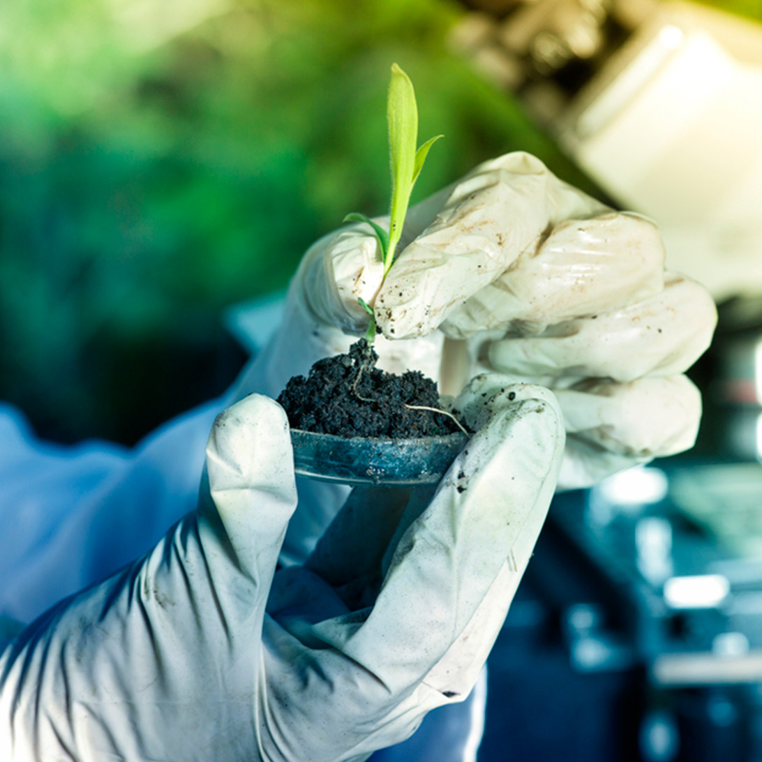 ¿Por qué Kressiendo?